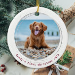 Décoration En Céramique Pawsitly Covid Quarantaine Red Dog Pet Photo<br><div class="desc">Meilleure année à jamais ! Selon les chiens ! Décorez votre arbre ou envoyez un cadeau spécial avec ce super mignon personnalisé photo d'animal de compagnie de noël ornement personnalisé. Cet ornement de Noël de chien en quarantaine pandémique sera un favori de tous les amoureux de les chiens. Ajoutez la...</div>