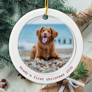 Décoration En Céramique Pawsitly Covid Quarantaine Red Dog Pet Photo