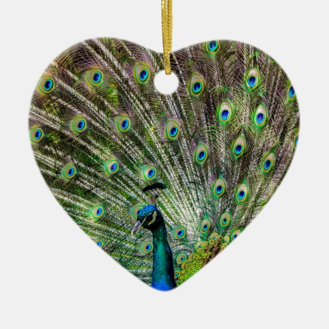 Décoration En Céramique Peacock étonnant et plumes accessoires photo (Devant)