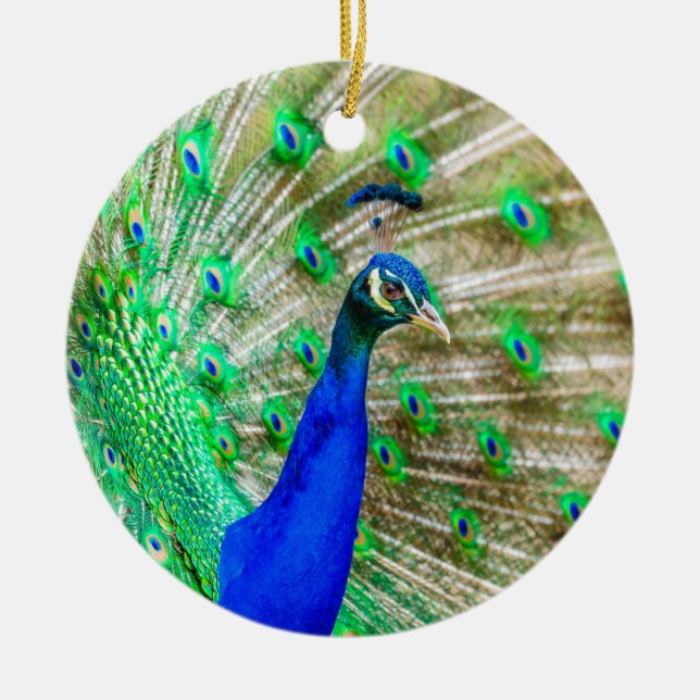 Décoration En Céramique Peacock Plumage (Devant)