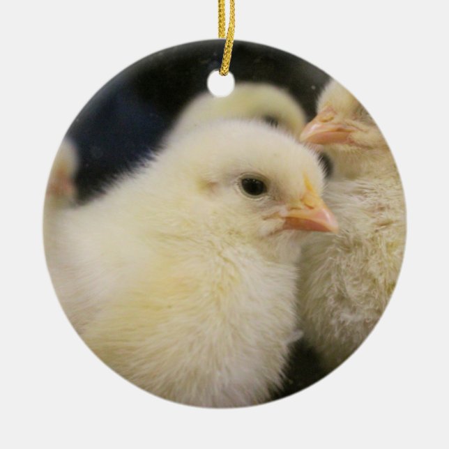 Décoration En Céramique Peeps (Devant)