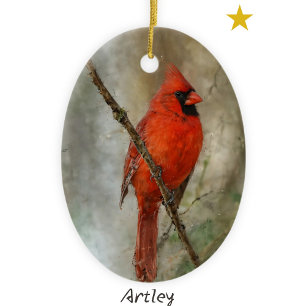 Décoration En Céramique Peinture d'oiseaux du Cardinal du Nord Année Noël