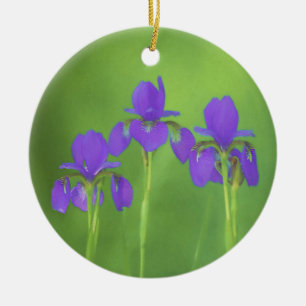 Décoration En Céramique Peinture Iris Violet - Art Fleur Originale
