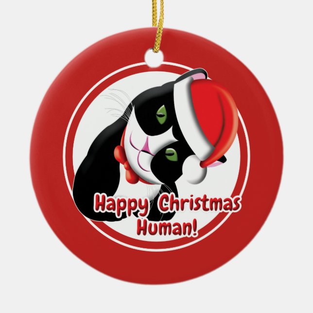 Décoration En Céramique Père Noël Cat (Devant)