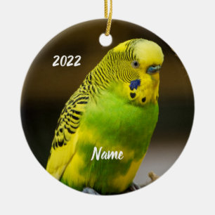 Décoration En Céramique Perruche Budgie anglaise personnalisée