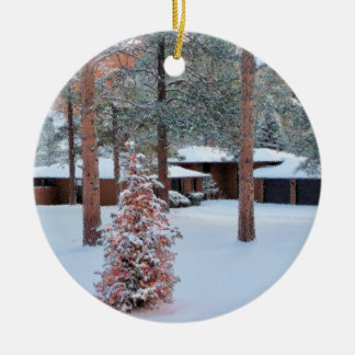 Décoration En Céramique Perry Park dans l'ornement de Noël d'hiver