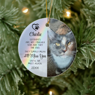 Décoration En Céramique Pet Cat Memorial Goodbye Citation Photo Rainbow