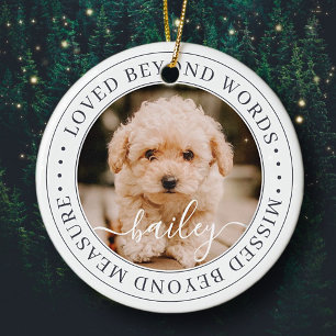 Décoration En Céramique Pet Memorial Love Beyond Words Elegant Chic Photo