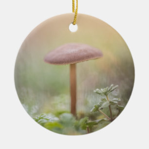 Décoration En Céramique Petit Champignons photo nature
