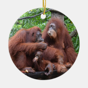 Décoration En Céramique Petit déjeuner avec le zoo de Singapour Orangutans