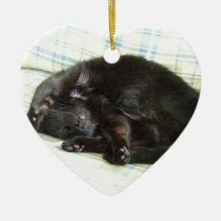 Décoration En Céramique petit somme de chat