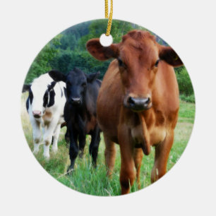 Décoration En Céramique Petit troupeau de trois vaches