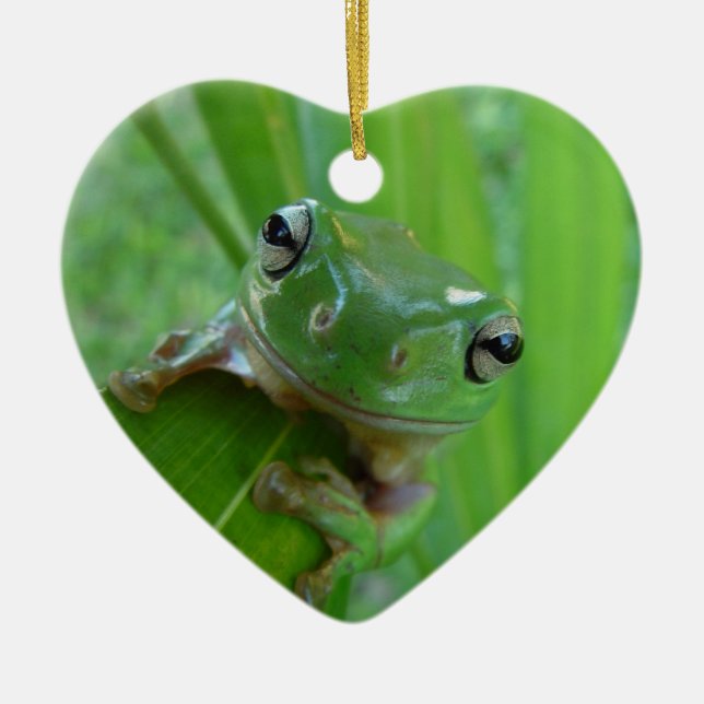 Décoration En Céramique Petite grenouille (Devant)