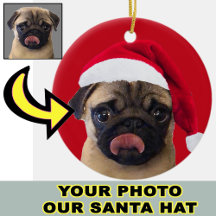 Photo Christmas Santa Hat sur votre chiot de chien