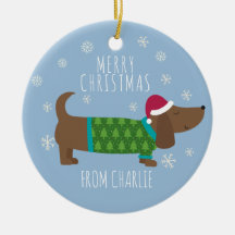 Photo Cute Daschund à Noël