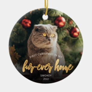 Décoration En Céramique Photo d'animal Premier Noël Maison pour toujours O