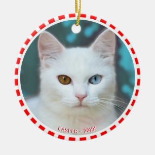 Décoration En Céramique Photo de chat blanc personnalisée avec cadre rouge
