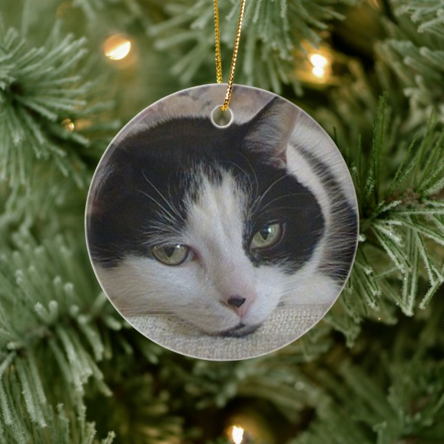 Décoration En Céramique Photo de chat Noël (Arbre)