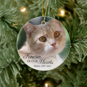 Décoration En Céramique Photo de chat pour toujours dans nos cœurs
