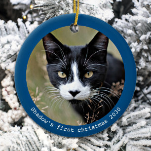 Décoration En Céramique Photo de chat simple moderne personnalisée pour an