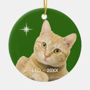 Décoration En Céramique Photo de chat Tabby Ginger personnalisée en vert
