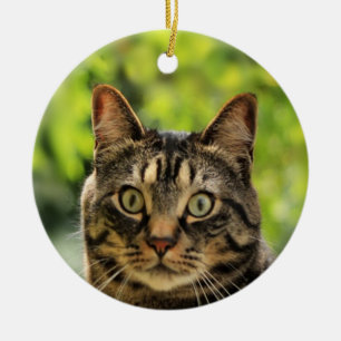 Décoration En Céramique Photo de chat tigré brun personnalisé