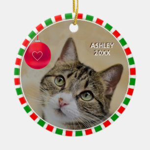 Décoration En Céramique Photo de chat tigré et cadre rouge vert