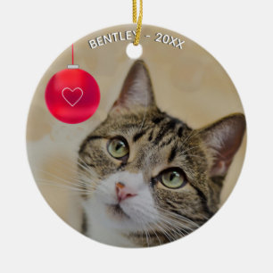 Décoration En Céramique Photo de chat tigré personnalisée