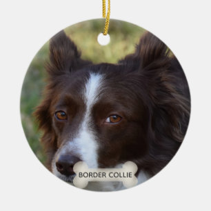 Décoration En Céramique Photo de chien Border Collie marron personnalisé