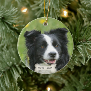 Décoration En Céramique Photo de chien Border Collie personnalisé
