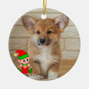 Décoration En Céramique Photo de Chien Corgi personnalisée avec Elf mignon