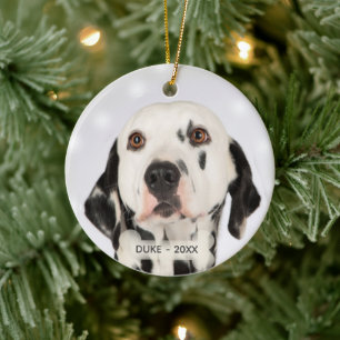 Décoration En Céramique Photo de chien dalmatien personnalisé