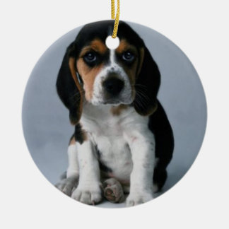 Décoration En Céramique Photo de chiot de beagle