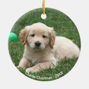 Décoration En Céramique Photo de chiot Golden Retriever personnalisé