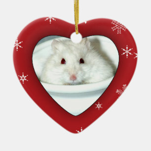 Décoration En Céramique Photo de hamster albinos
