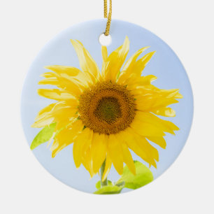 Décoration En Céramique Photo de la nature des tourntournesols