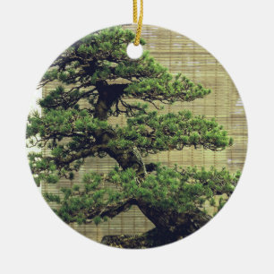 Décoration En Céramique Photo de l'arbre Bonsai de pin blanc japonais