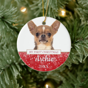 Décoration En Céramique Photo de Noël pour chien de compagnie 2 Premier No