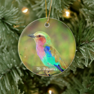 Décoration En Céramique Photo d'oiseau multicolore personnalisé