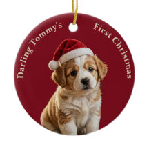 Photo Nom Naissance Statistiques Chiot Noël 1er No