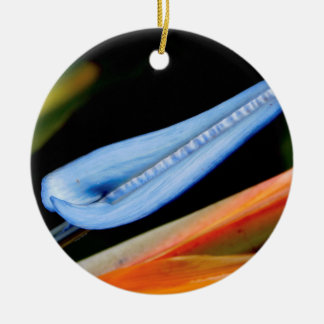 Décoration En Céramique Photo Oiseau du Paradis