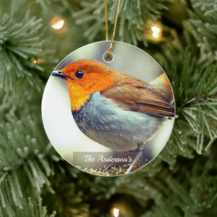 Décoration En Céramique Photo personnalisé d'oiseau rouge sur mesure