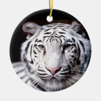 Décoration En Céramique Photographie blanche de tigre de Bengale