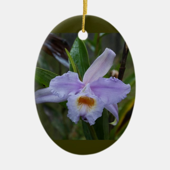 Décoration En Céramique Photos (Devant)