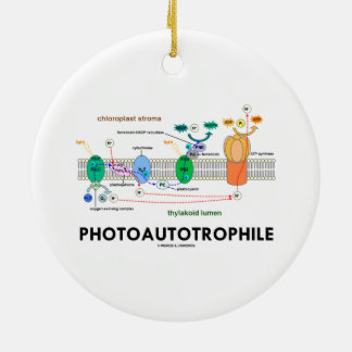 Décoration En Céramique Photosynthèse de Photoautotrophile