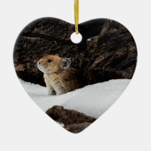 Décoration En Céramique Pika américaine dans la neige en forme de coeur