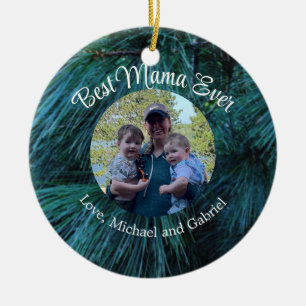 Décoration En Céramique Pin rustique pin pinède vert à feuillage persistan