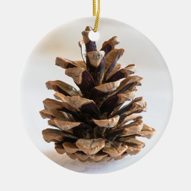 Décoration En Céramique Pinecone (Devant)