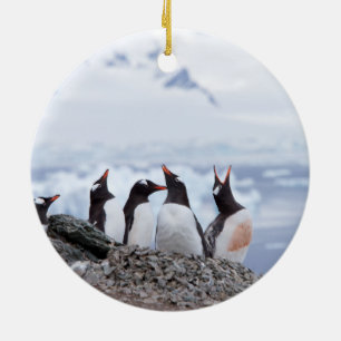 Décoration En Céramique Pingouins en Antarctique