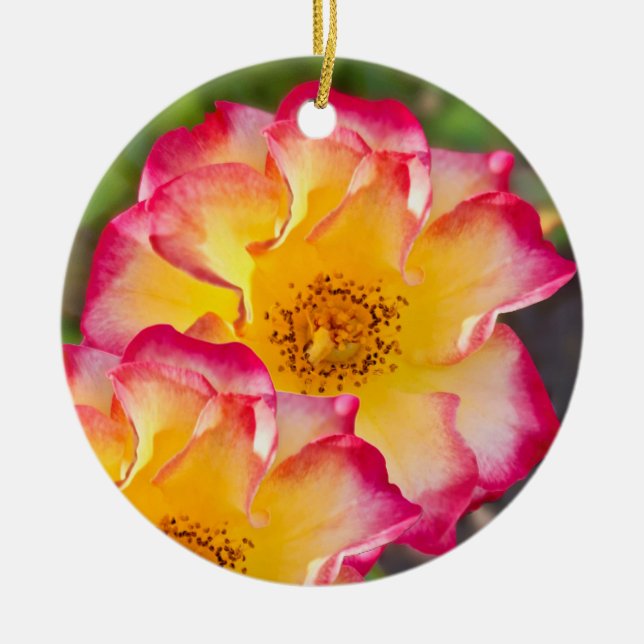 Décoration En Céramique Pink Yellow Rose (Devant)